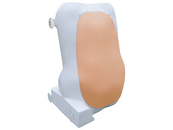 Тренажёр для отработки навыков спинальных инъекций — фото