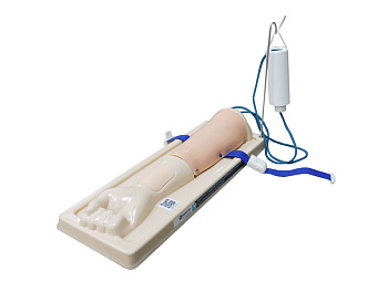 Фантом предплечья для отработки навыков внутривенных инъекций — фото