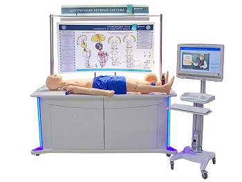 Лабораторно-диагностический учебный комплекс "Центральная нервная система" — фото