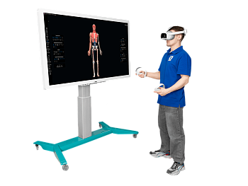 Трехмерный анатомический атлас VR. Виртуальный учебный комплекс. Приказ 838 Минпросвещения РФ — фото