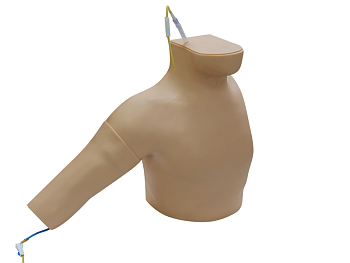 Тренажер для освоения техники катетеризации центральных вен — фото