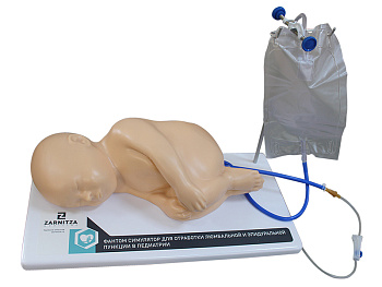 Фантом симулятор для отработки люмбальной и эпидуральной пункции в педиатрии — фото