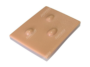 Модель для отработки навыков удаления кисты — фото