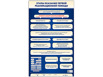 Электрифицированный стенд-тренажер "Этапы оказания первой реанимационной помощи" — фото