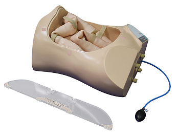 Тренажер колоноскопии, полипэктомии — фото