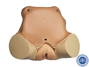 Тренажер для гинекологического осмотра — фото