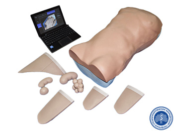 Манекен для диагностики абдоминальных заболеваний — фото