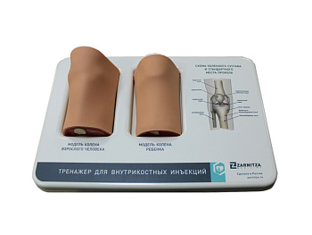 Комбинированный тренажер для внутрикостных инъекций — фото
