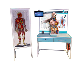 Трехмерный анатомический атлас. Приказ 838 Минпросвещения РФ — фото