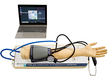 Рука для измерения артериального давления — фото