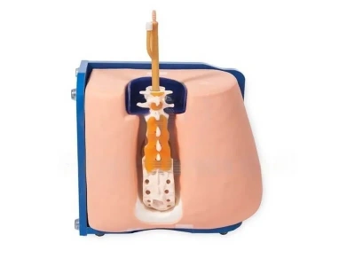 Тренажер для отработки навыков люмбальной пункции