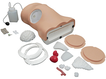 Симулятор для проведения лапароцентеза — фото