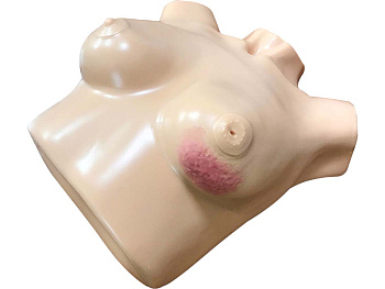 Расширенный тренажер для обследования молочных желез — фото