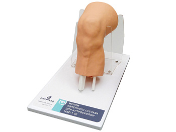 Муляж коленного сустава для артроскопии МКС-1.02 — фото