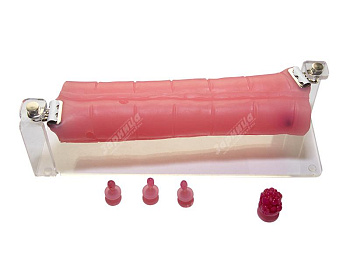 Пособие для отработки навыков лапароскопии "поперечная ободочная кишка" — фото