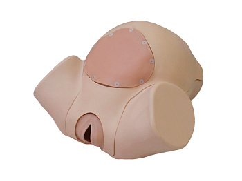 Тренажер по отработке навыков родовспоможения — фото