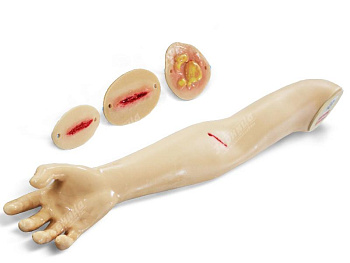 Фантом руки для наложения и снятия швов, обработки ожогов и ран — фото