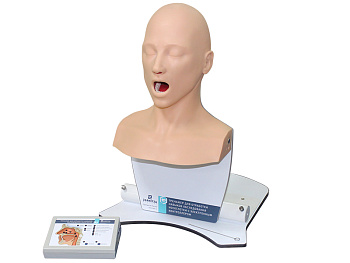 Тренажер для отработки навыков обследования носоглотки — фото