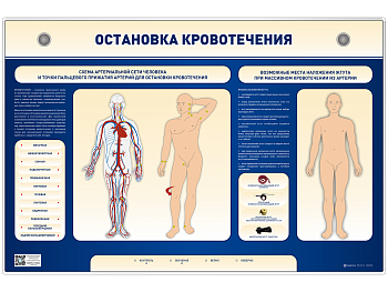 Электрифицированный стенд-тренажер "Остановка кровотечения" — фото
