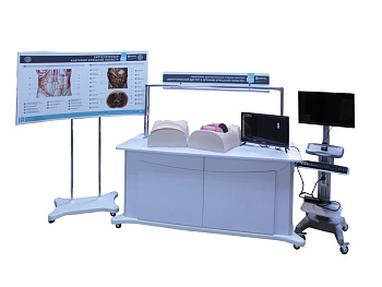 Лабораторно-диагностический учебный комплекс "Хирургический доступ к органам брюшной полости" — фото