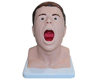 Тренажер взятия мазка из зева — фото