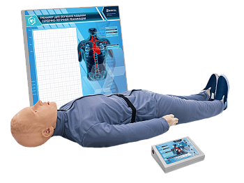 Тренажер-манекен пострадавшего для отработки приемов сердечно-легочной реанимации со светозвуковой индикацией, контроллером и настенным табло «Александр-8» — фото