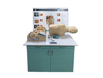 Интерактивный тренажерный комплекс для эндоскопии — фото