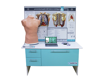 Тренажер базовых навыков аускультации сердца и легких с интерактивной доской — фото
