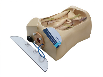 Тренажер колоноскопии ТК-1.01 — фото