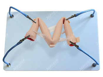 Пособие для отработки навыков лапароскопии "Спайки тонкой кишки" — фото