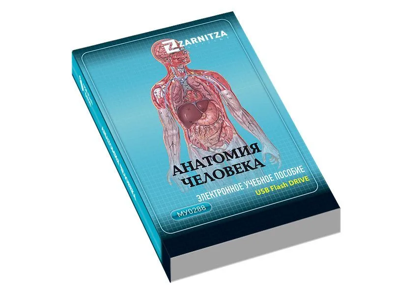 Электронное учебное пособие "Анатомия человека" | МЕДСЕТ